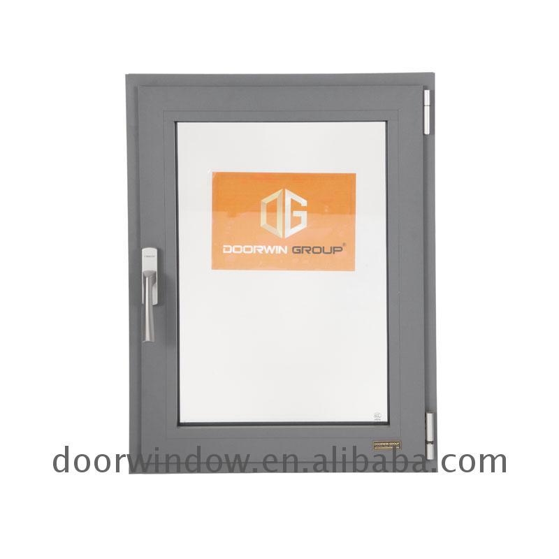 DOORWIN 2021Commercial center swing window bronze