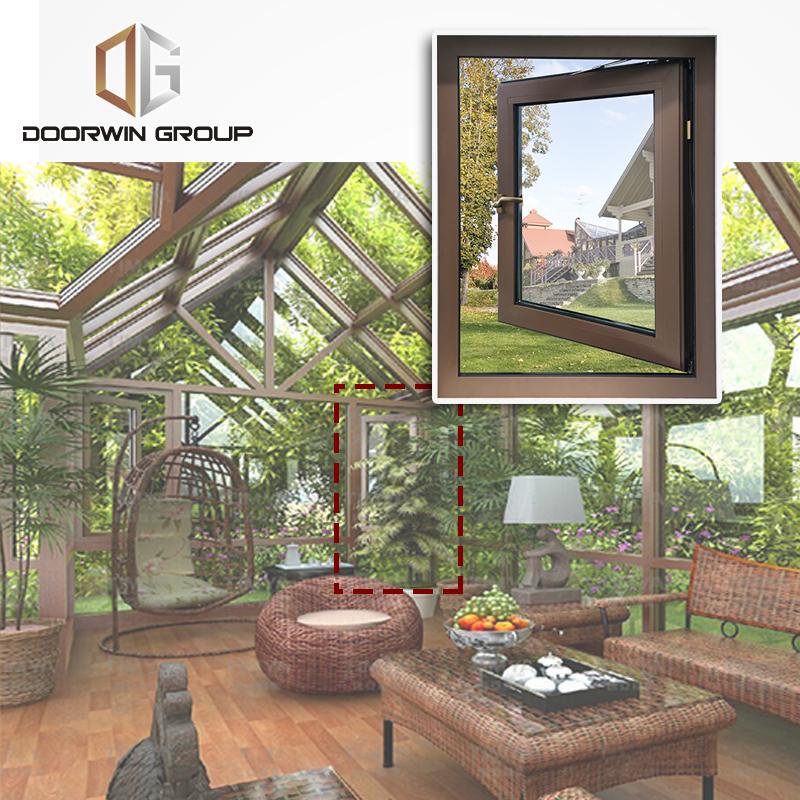 Doorwin 2021China factory supplied top quality best looking windows insulated for home inexpensive replacement