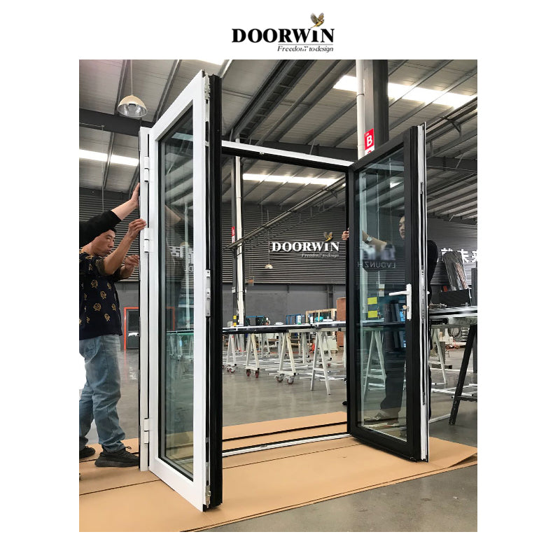 Doorwin 2021Aluminum French design mother and son double open door modern designs for houses