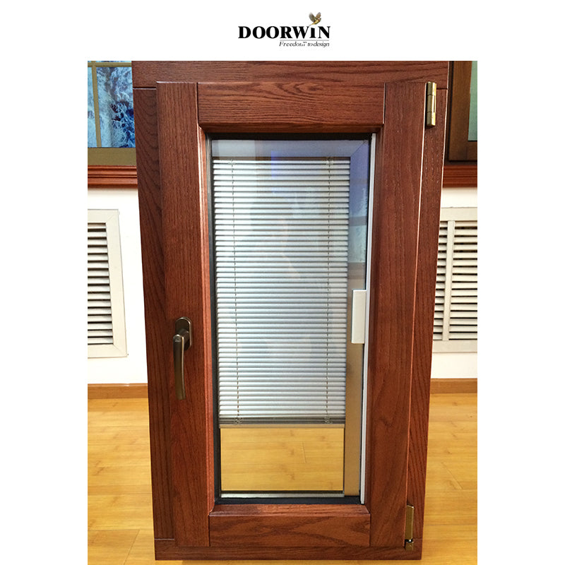 Doorwin 2021Vancouver frosted glass window double glass windows in cheap price