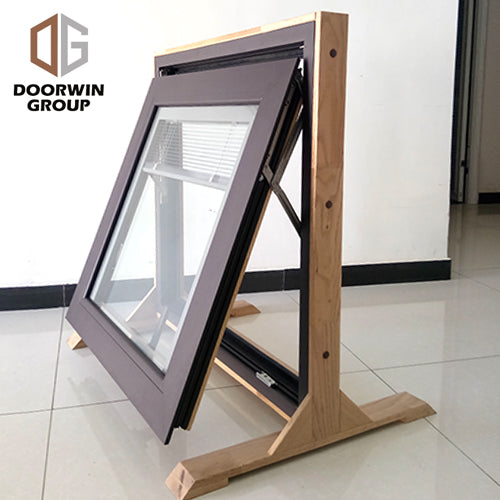 Doorwin 2021Texas small sash double glazed with built-in shutter for sale cheap price awning window