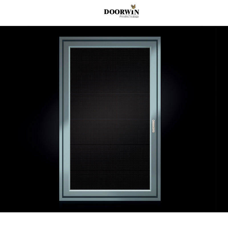 Doorwin 2021China Doorwin detachable design metal security folding window screen