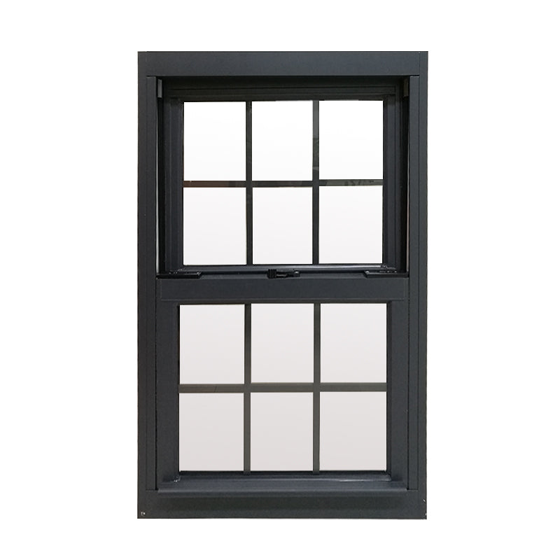 Doorwin 2021sound proof energy effective all colors aluminum profiles glass double hung windows