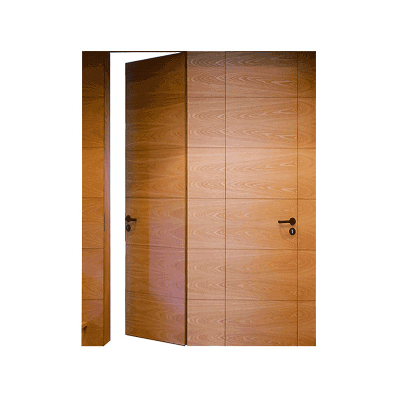Doorwin 2021Sound Proof Simple Antique Doors Invisible Doors