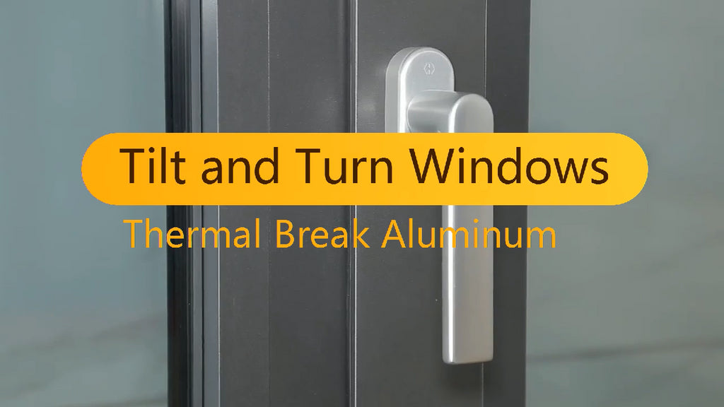 Doorwin 2021China Factory Seller white double glazed windows types of aluminium tilt and turn window