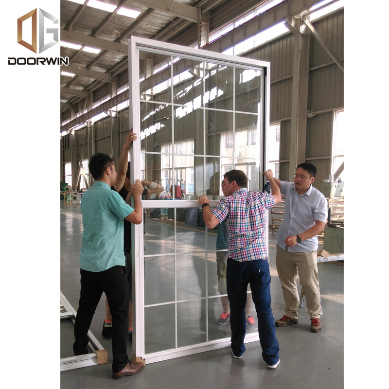 Doorwin 2021China insulating glass small double kitchen China supplier grill cheap pvc single hung window
