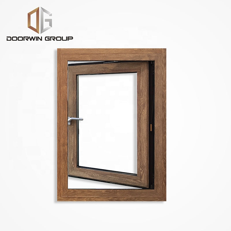 Doorwin 2021Fancy Design Hollow Glass Aluminium Alloy Profile 32 X 36 Hinged Casement Windows with Mesh For Sale
